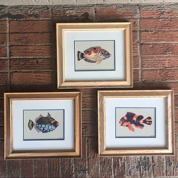 Set of 3 Vintage Maggie Riegler Framed Tropical Fish Prints - Picture 1 of 6